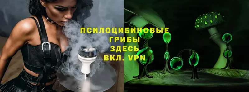 Галлюциногенные грибы Magic Shrooms  Фролово 